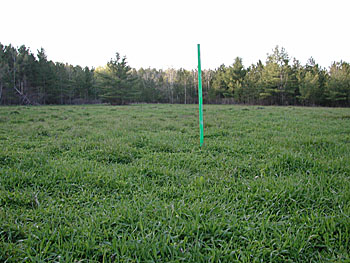 Food Plot